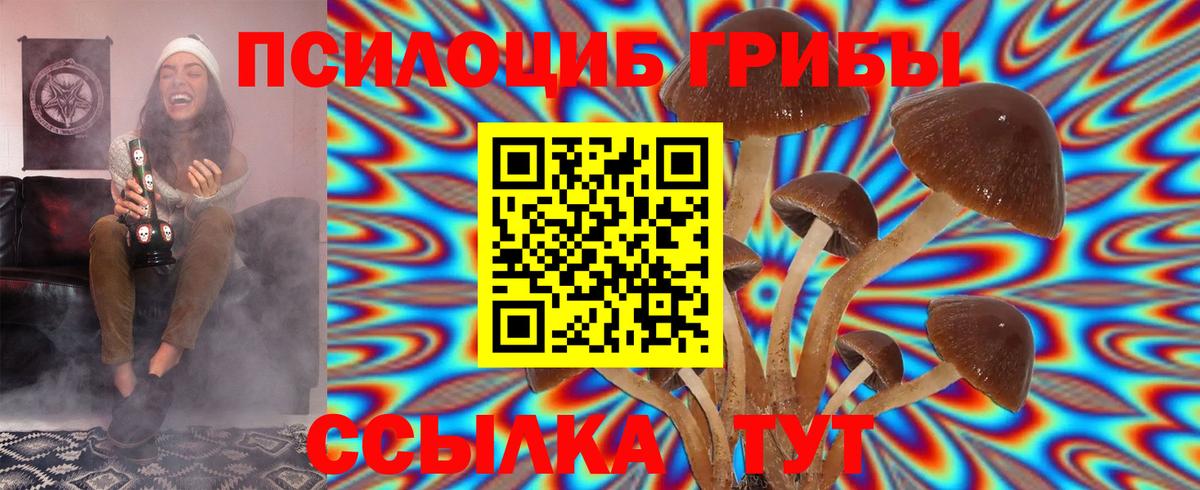 Псилоцибиновые грибы прущие грибы Видное